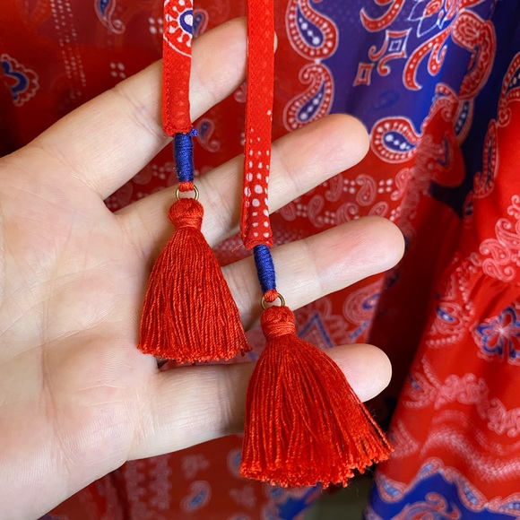 Lane Bryant Sheer American Paisley Tassel Tie Blouse - Picture 7 of 12